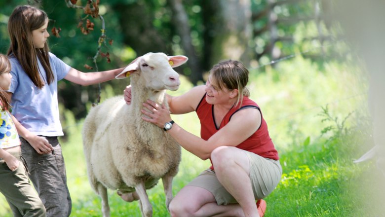 Our cuddly sheep is looking forward to seeing you!, © weinfranz.at A woman and two children are stroking a sheep in a meadow.
