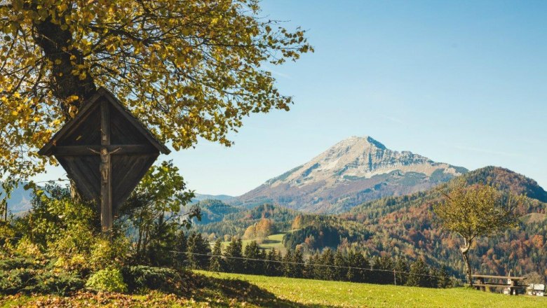 Herbst am Joachimsberg, © Fred Lindmoser Herbst am Joachimsberg, © Fred Lindmoser
