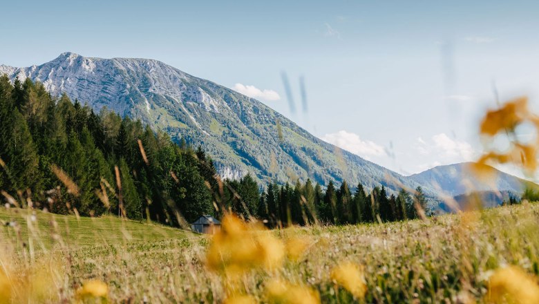 Nestelberg 17, © Sabine Wieser Nestelberg 17, © Sabine Wieser