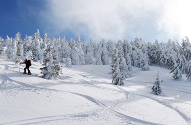 Winter-Wandern zum Gipfel, © Mostviertel Tourismus, weinfranz.at