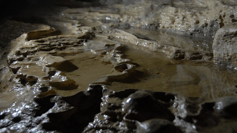 Nixhöhle Frankenfels, © Thaler Heiner Close-up of smooth, damp rock formations in a cave.