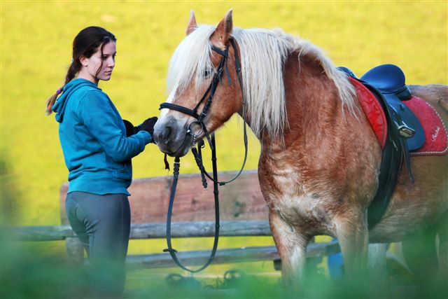 Trial riding at Bodenhof, © weinfranz.at A woman stands next to a saddled horse and holds the reins. A yellow wall can be seen in the background.