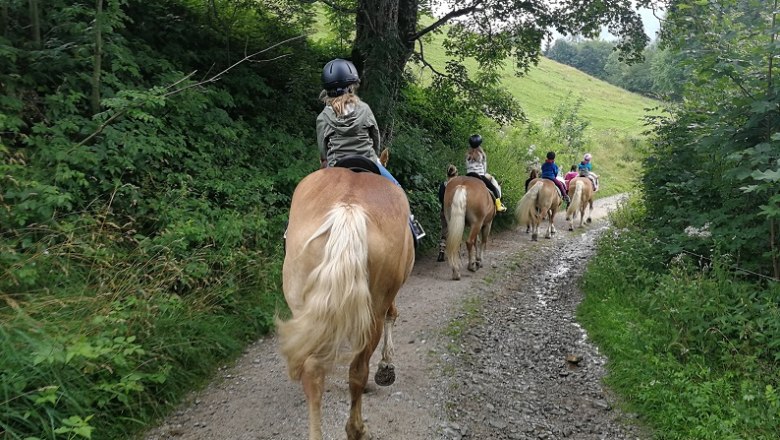 Schnupperreiten Bodenhof, © Roman Zöchlinger Kinder reiten auf Pferden auf einem Waldweg.