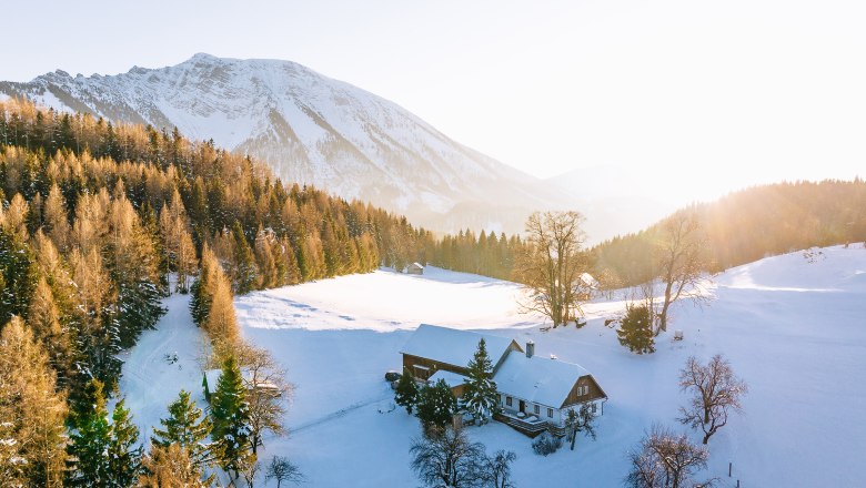 Nestelberg 17, © Sabine Wieser Nestelberg 17, © Sabine Wieser