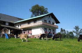 Höchbauernhof, © zVg