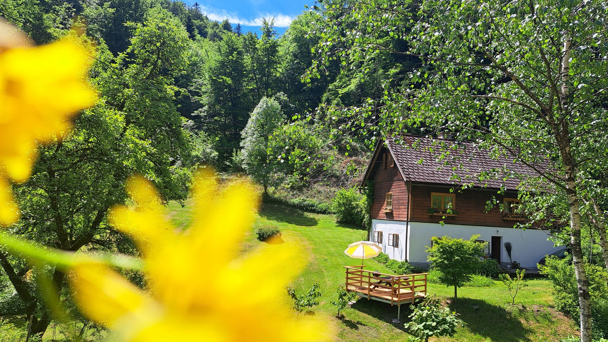 Vacation apartment Urmannsau