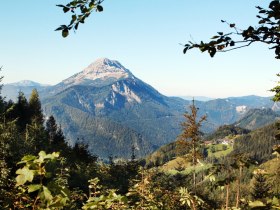View Alpenhotel G&ouml;sing, &copy; weinfranz.at