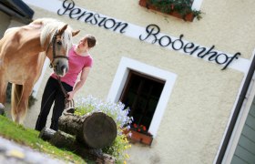 Reiten am Bodenhof, © ©weinfranz