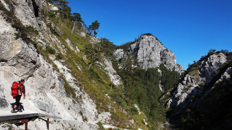 Wandern in den Ötschergräben, © weinfranz.at