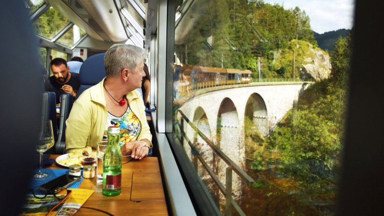 A woman sits in a panoramic car and looks out of the window at a bridge in a green landscape.