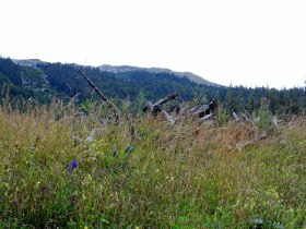 &Ouml;tscher-Torm&auml;uer Nature Park, &copy; Mostviertel - O&Ouml; Mariazellerweg