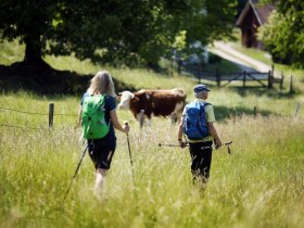 Pilgrims in Rohrbach an der G&ouml;lsen, &copy; Mostviertel - Via Sacra