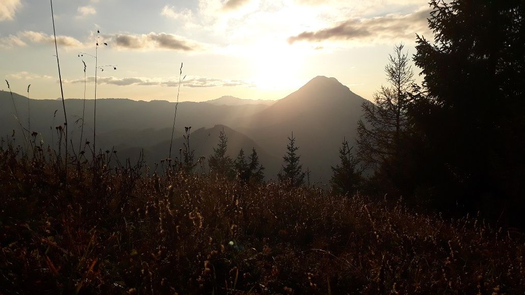 Blick in Richtung Ötscher