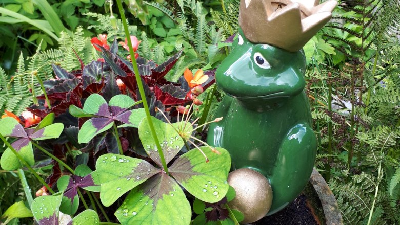 Ferienwohnung Urmannsau, &copy; Melitta Praus