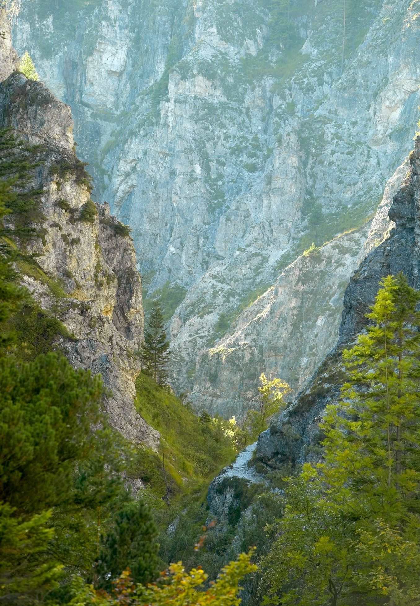 Mitterbach - Erlaufstausee - Hagengut - Ötscherhias