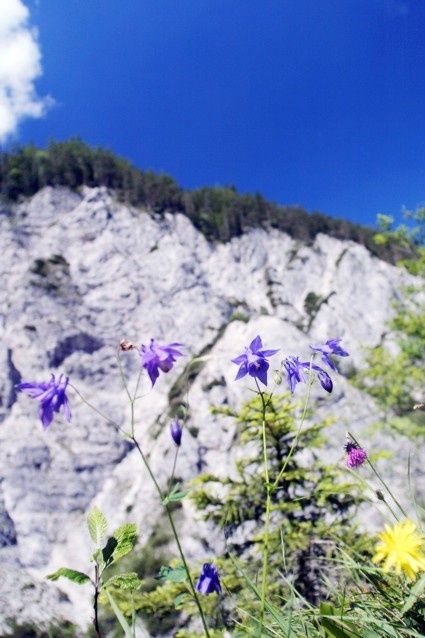 MTB Mostviertel Naturpark Ötscher -  Tormaeuer