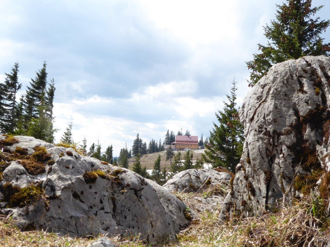 View of the Annabergerhaus in a mountain landscape with rocks and trees in the foreground.