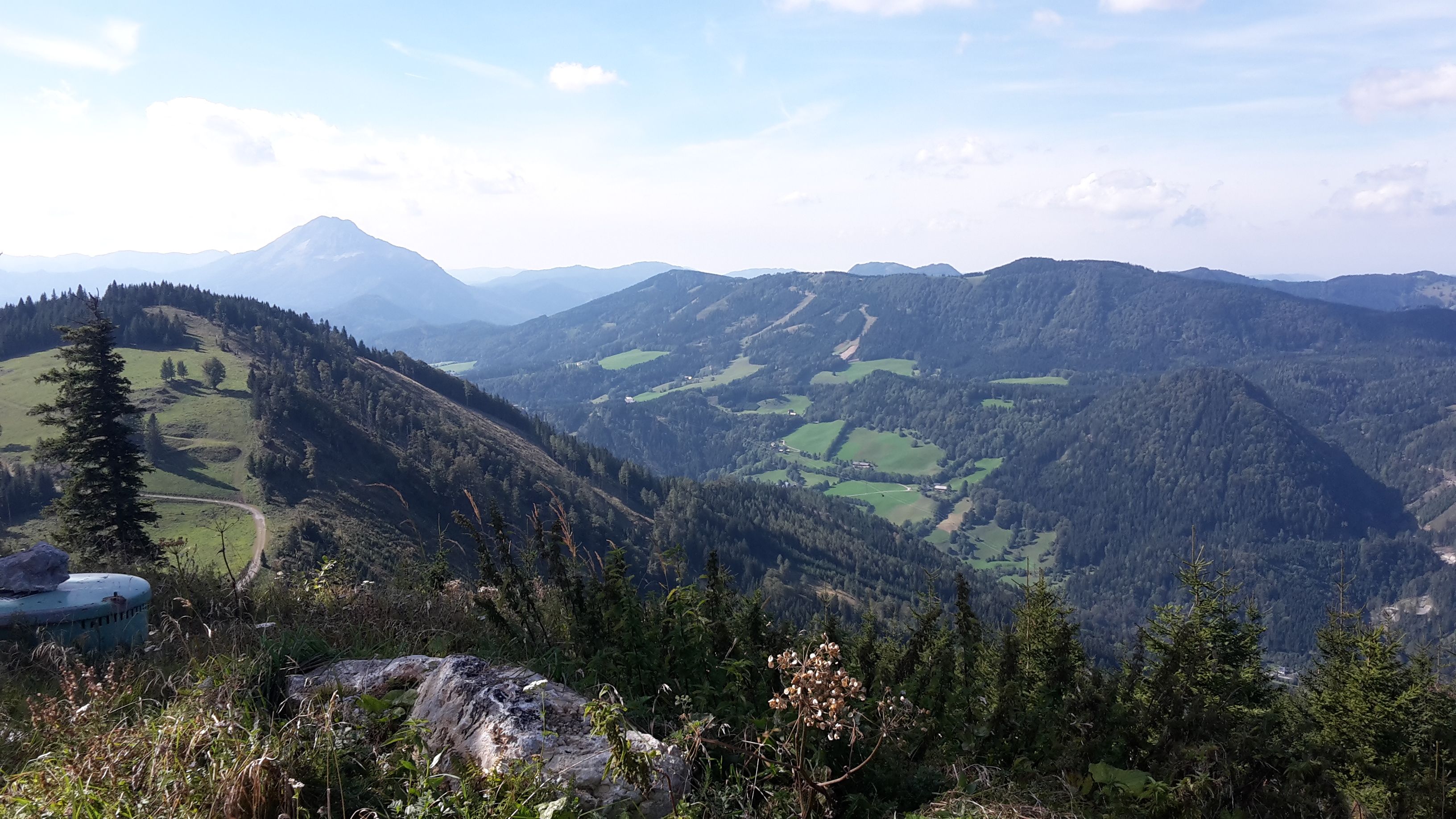 Summer panorama