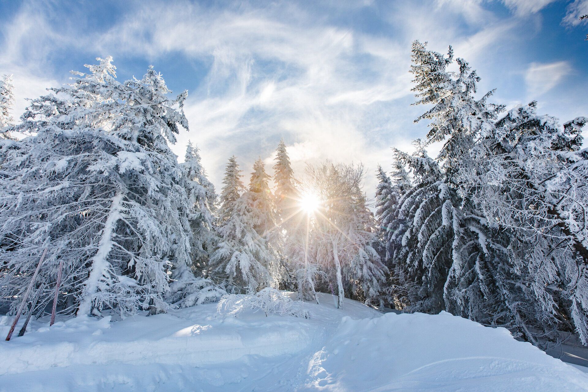 Die verschneiten Bäume glitzern im Sonnenlicht und schaffen eine magische Winterlandschaft. Hier, wo die frische Bergluft die Sinne belebt, lädt die Umgebung zu unvergesslichen Erlebnissen im Schnee ein.