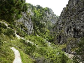 Schlucht - Hintere Torm&auml;uer, &copy; Mostviertel