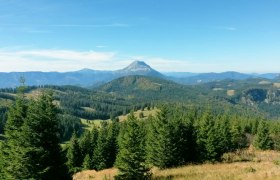 View from the Hennesteck (c)Petra Zeh, &copy; Mostviertel
