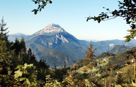 View Alpenhotel G&ouml;sing, &copy; weinfranz.at