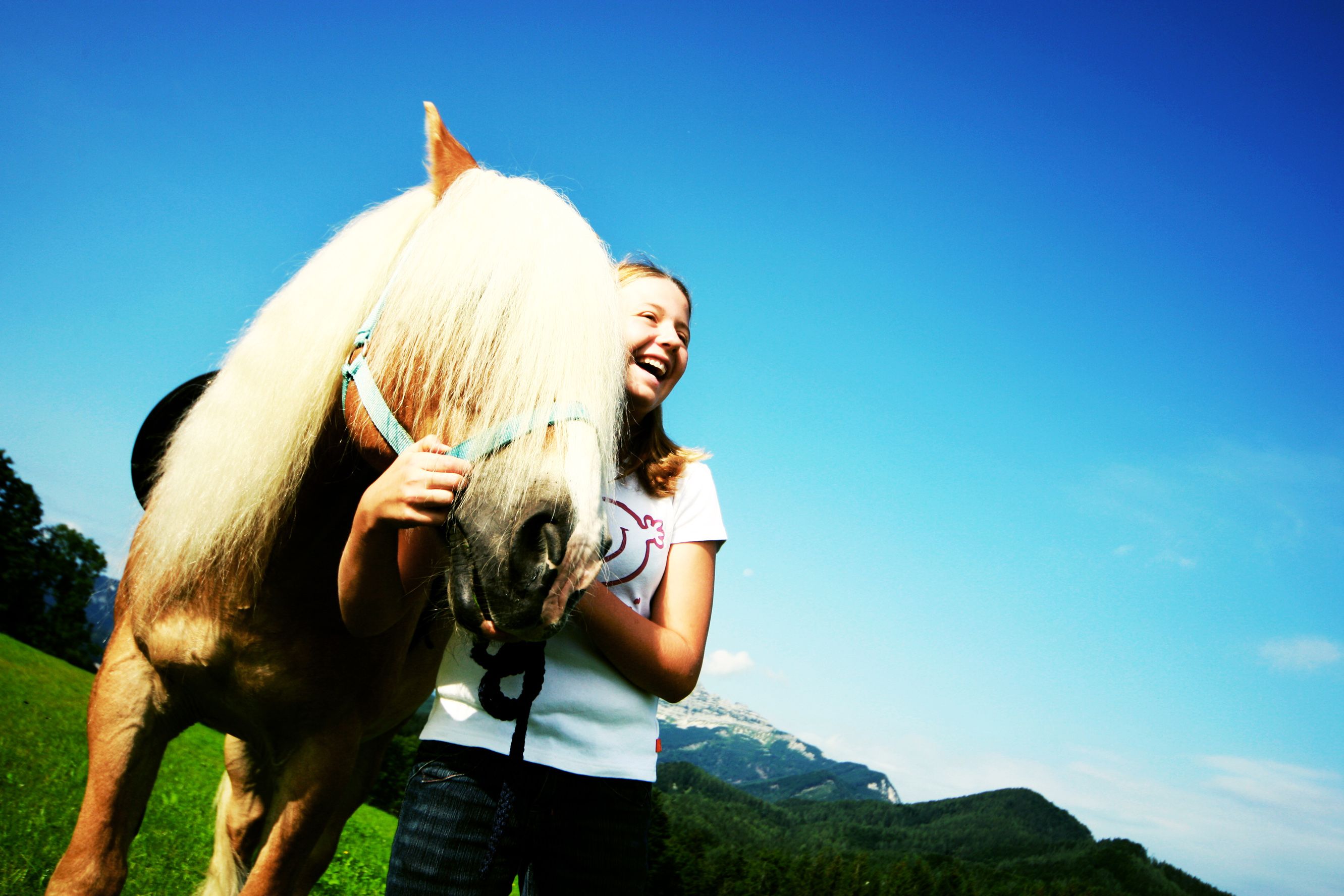 A girl laughs next to a horse in a green meadow with a blue sky in the background.