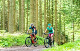 MTB_Forest, &copy; Mostviertel