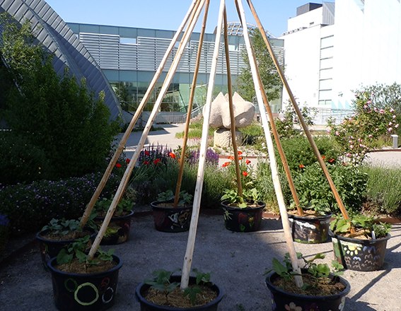 A garden with painted planters and wooden poles in a museum garden.