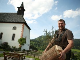 Above the hollow fir tree, &copy; Mostviertel