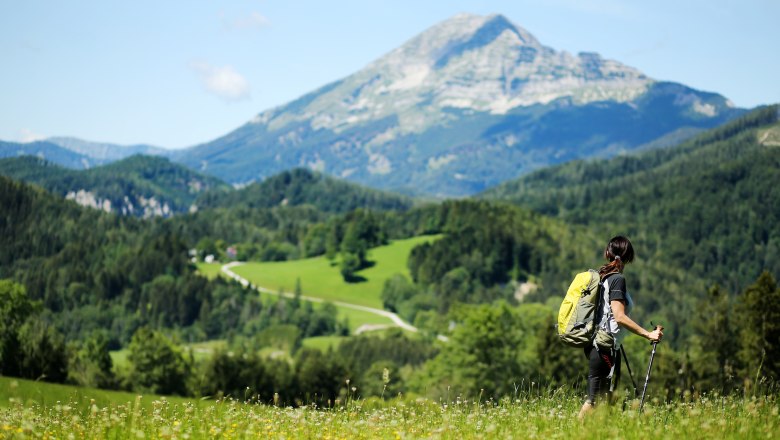 Pilgern mit Ötscherblick auf der Via Sacra , © Mostviertel Tourismus, weinfranz.at