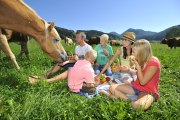 Picknick auf der Weide, &copy; landurlaub.at