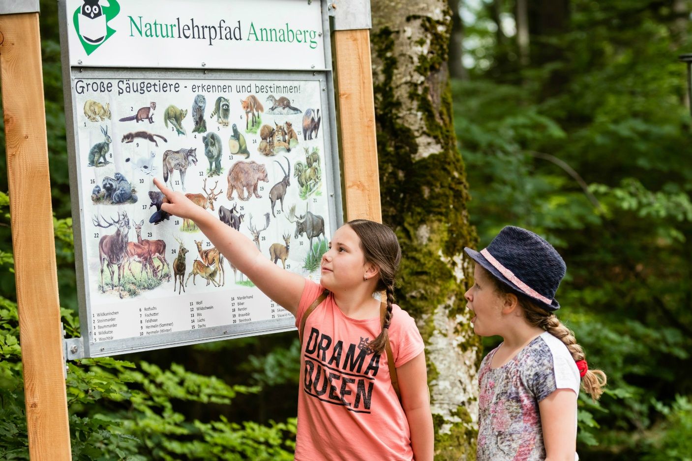 Naturlehrpfad Annaberg