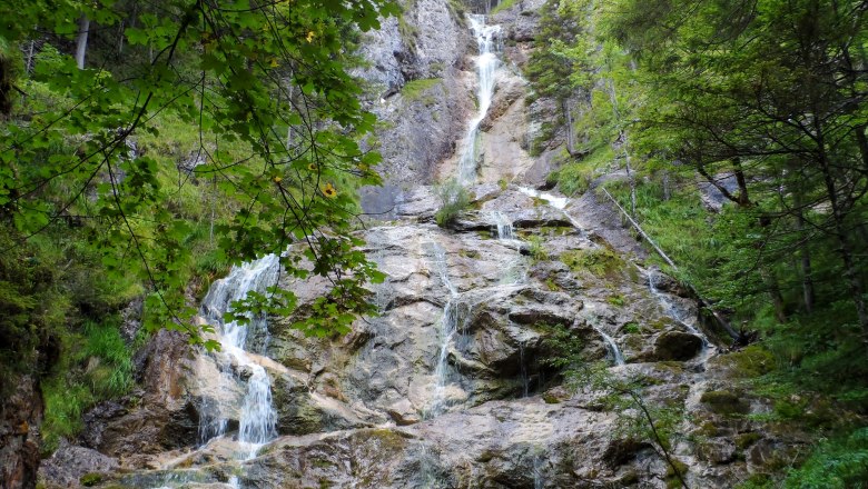 Ein Wasserfall flie&szlig;t &uuml;ber Felsen in einem bewaldeten Gebiet.