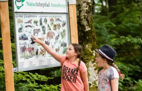 Naturlehrpfad Annaberg, © Fred Lindmoser