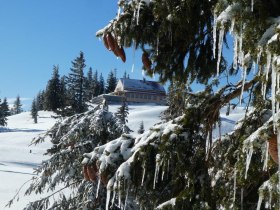 Tiefwinterlicher Blick auf das Annaberger Haus, &copy; Karl Schachinger