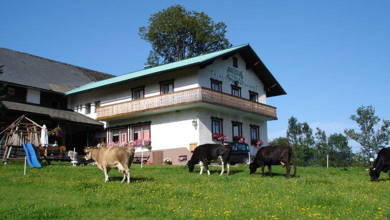 Bauernhof mit K&uuml;hen auf einer Wiese und einem Geb&auml;ude im Hintergrund.