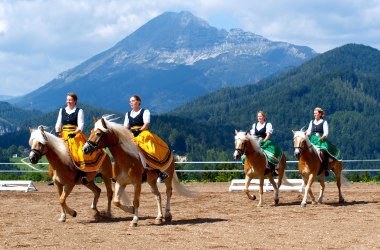 Das Pferdefest in Annaberg, © Schaglhof