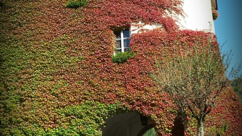 A historic building overgrown with ivy that has an archway.