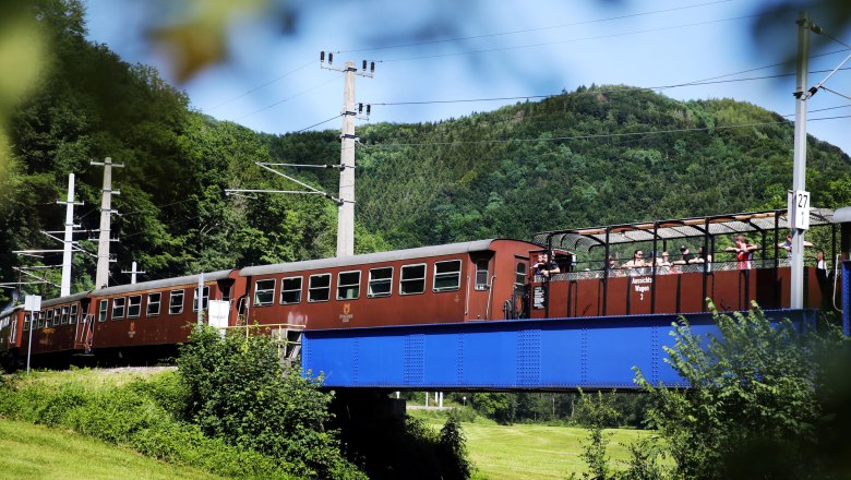 A train with open observation cars crosses a blue bridge in a green landscape.