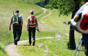 Via Sacra und Wiener Wallfahrerweg, &copy; weinfranz.at