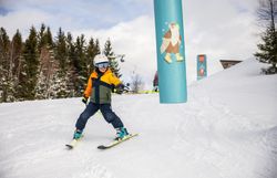 Spaß für Groß und Klein bei den Annaberger Liften mit dem liebevoll gestalteten Anna-Land und Nikis Pisten-Abenteuer.
Ein Märchenwald mit sprechenden Tieren, Seillift und Zauberteppich sorgt für spielerisches Skivergnügen.
Leichte Hänge im Ski-Zentrum Reidl bieten ideale Bedingungen für Kinder und Anfänger.
Niki der Fuchs begleitet die kleinen Gäste mit bunten Stationen und viel Bewegung durch den Winter.