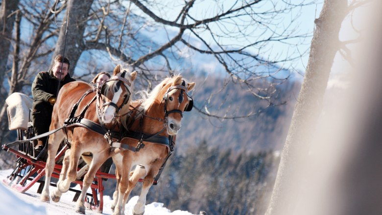 Horse-drawn sleigh ride on Joachimsberg, © Mostviertel Tourismus, weinfranz.at