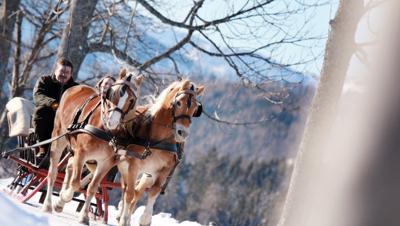 Pferdeschlittenfahrt am Joachimsberg, © Mostviertel Tourismus, weinfranz.at