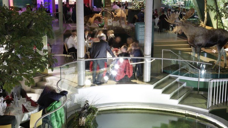 Interior view of the Museum Niederösterreich with stuffed elk and visitors at tables.
