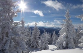 Traumhafter Blick in die Bergwelt, &copy; Karl Schachinger