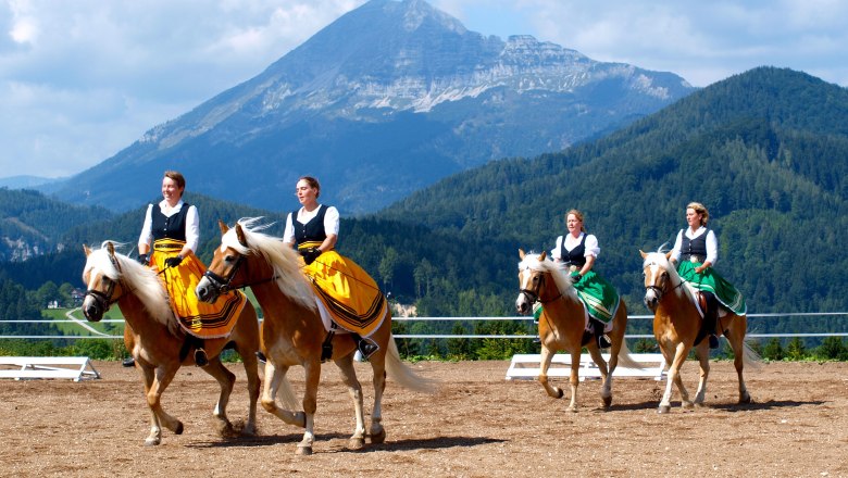 Das Pferdefest in Annaberg, © Schaglhof