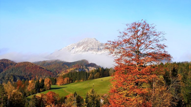 Bunter Herbst im Ötscherland, © KBurger