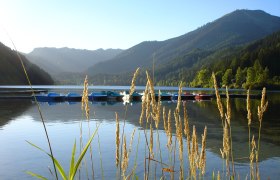 Erlaufsee, &copy; Mostviertel