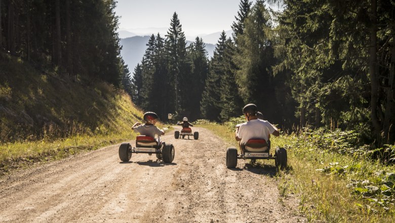 Rasant geht's mit Mountaincarts ins Tal, © Robert Herbst